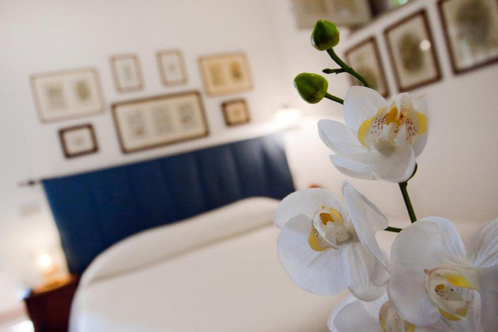 Bed and Breakfast Il Glicine Sul Golfo Монделло Номер фото