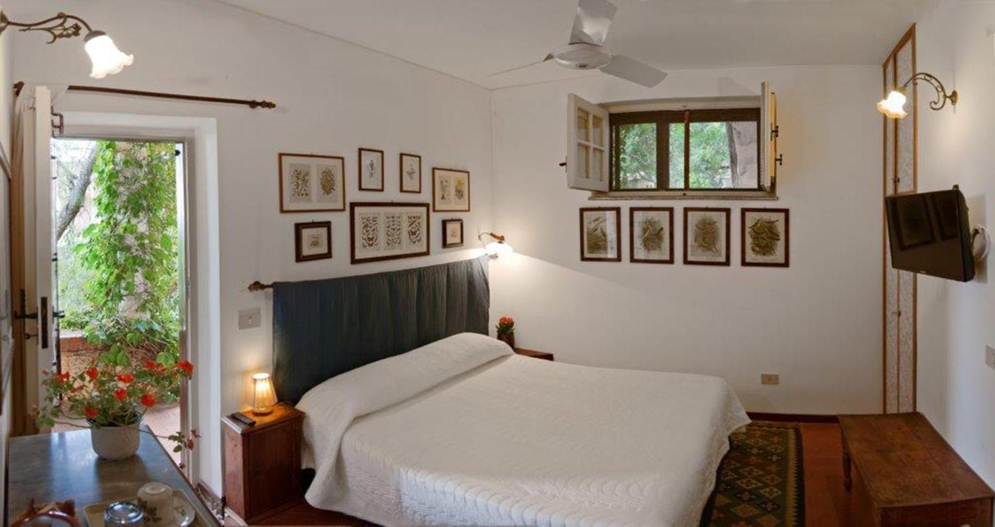 Bed and Breakfast Il Glicine Sul Golfo Монделло Номер фото