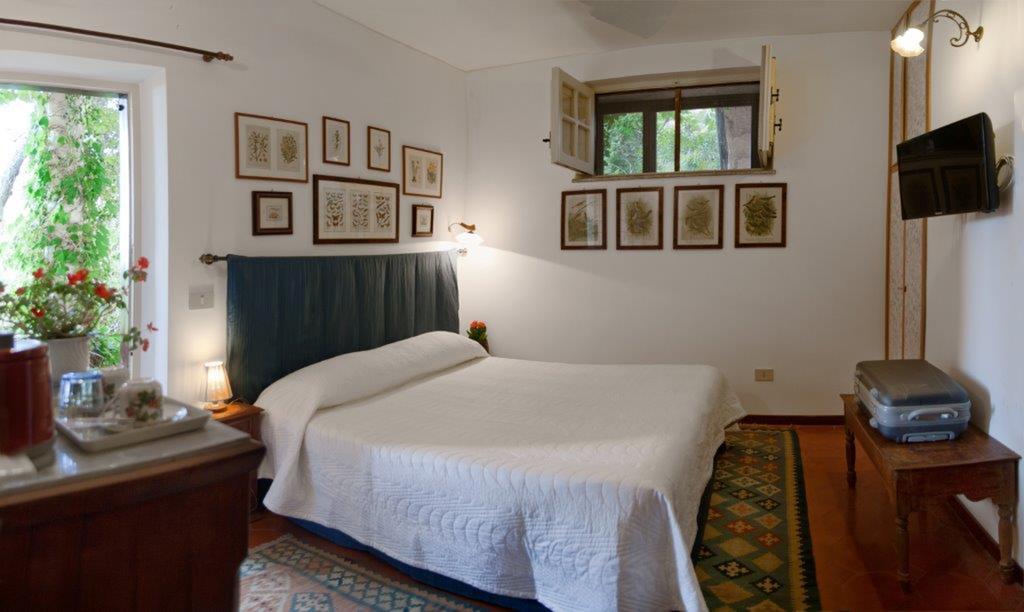 Bed and Breakfast Il Glicine Sul Golfo Монделло Номер фото